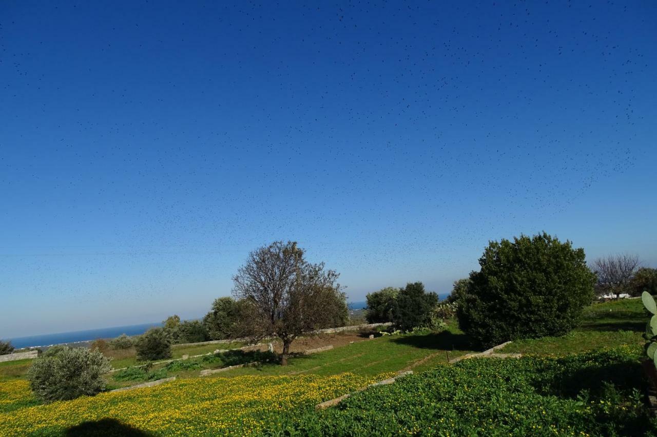 Vila Il Fico D'India Dell'Antico Orto Ostuni Exteriér fotografie