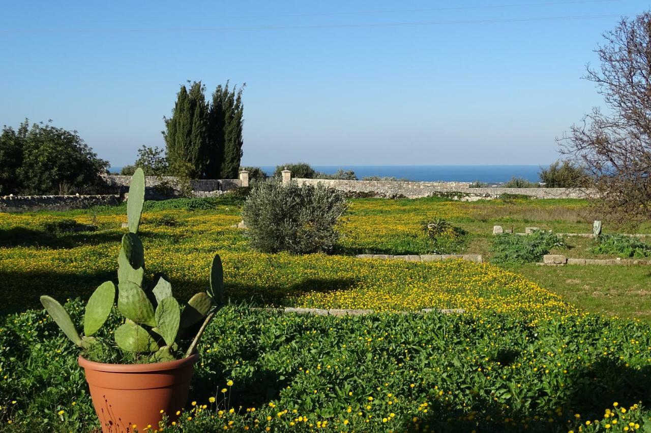 Vila Il Fico D'India Dell'Antico Orto Ostuni Exteriér fotografie