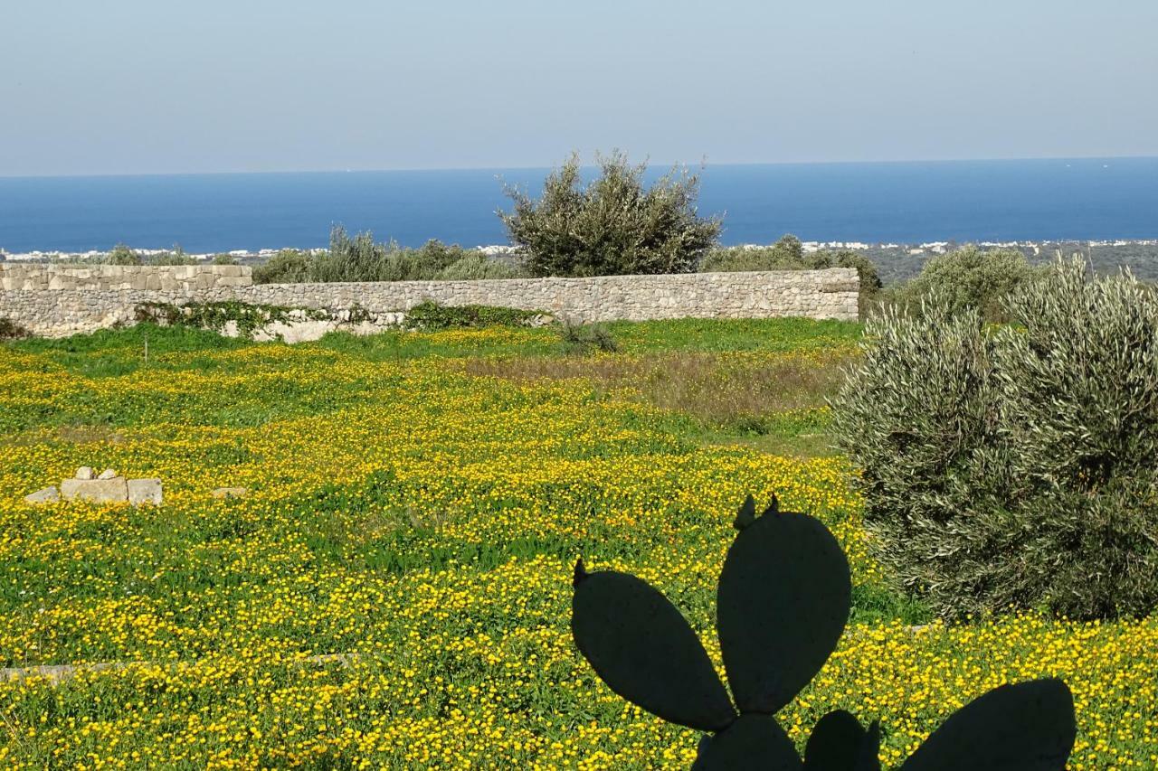 Vila Il Fico D'India Dell'Antico Orto Ostuni Exteriér fotografie