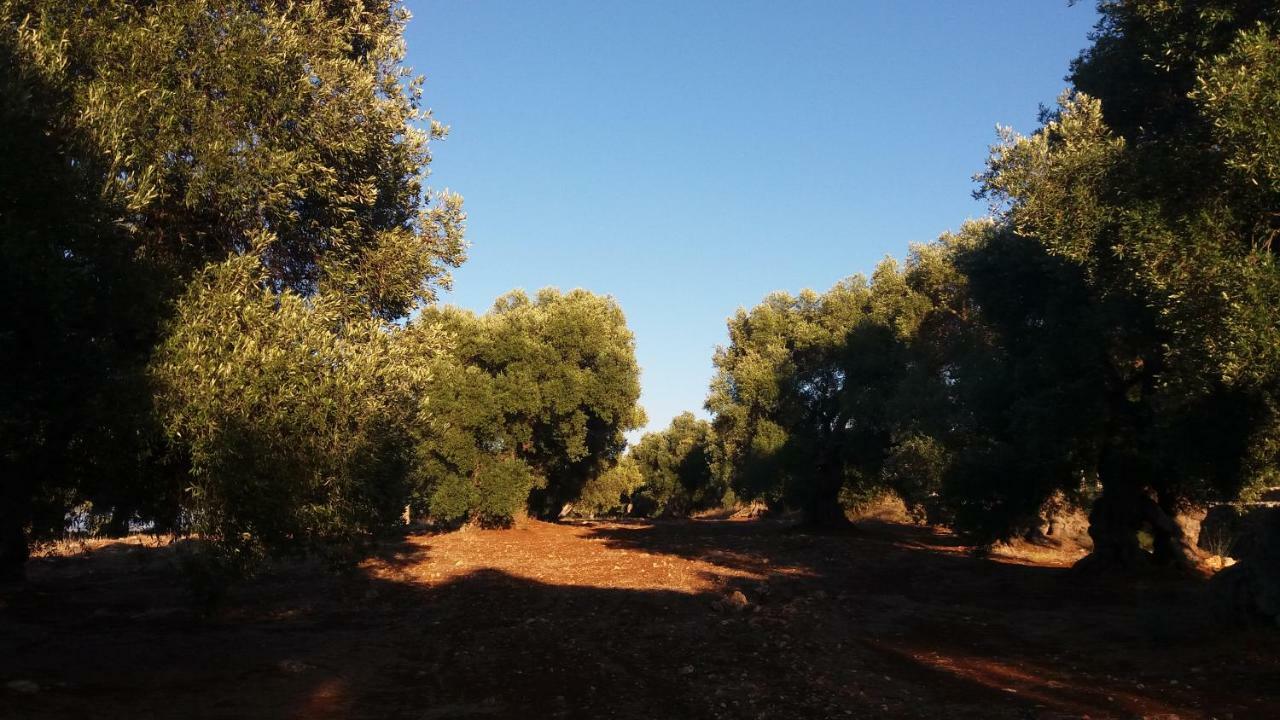 Vila Il Fico D'India Dell'Antico Orto Ostuni Exteriér fotografie