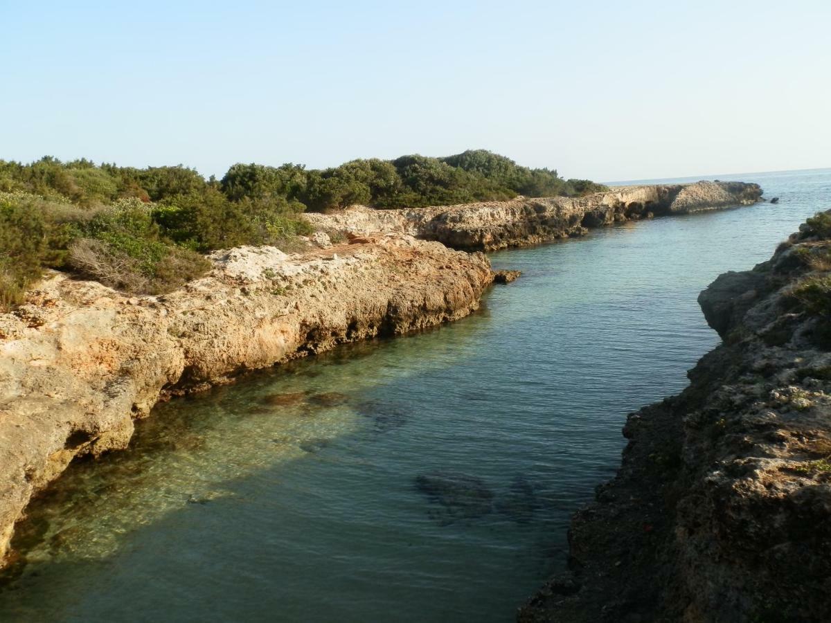 Vila Il Fico D'India Dell'Antico Orto Ostuni Exteriér fotografie